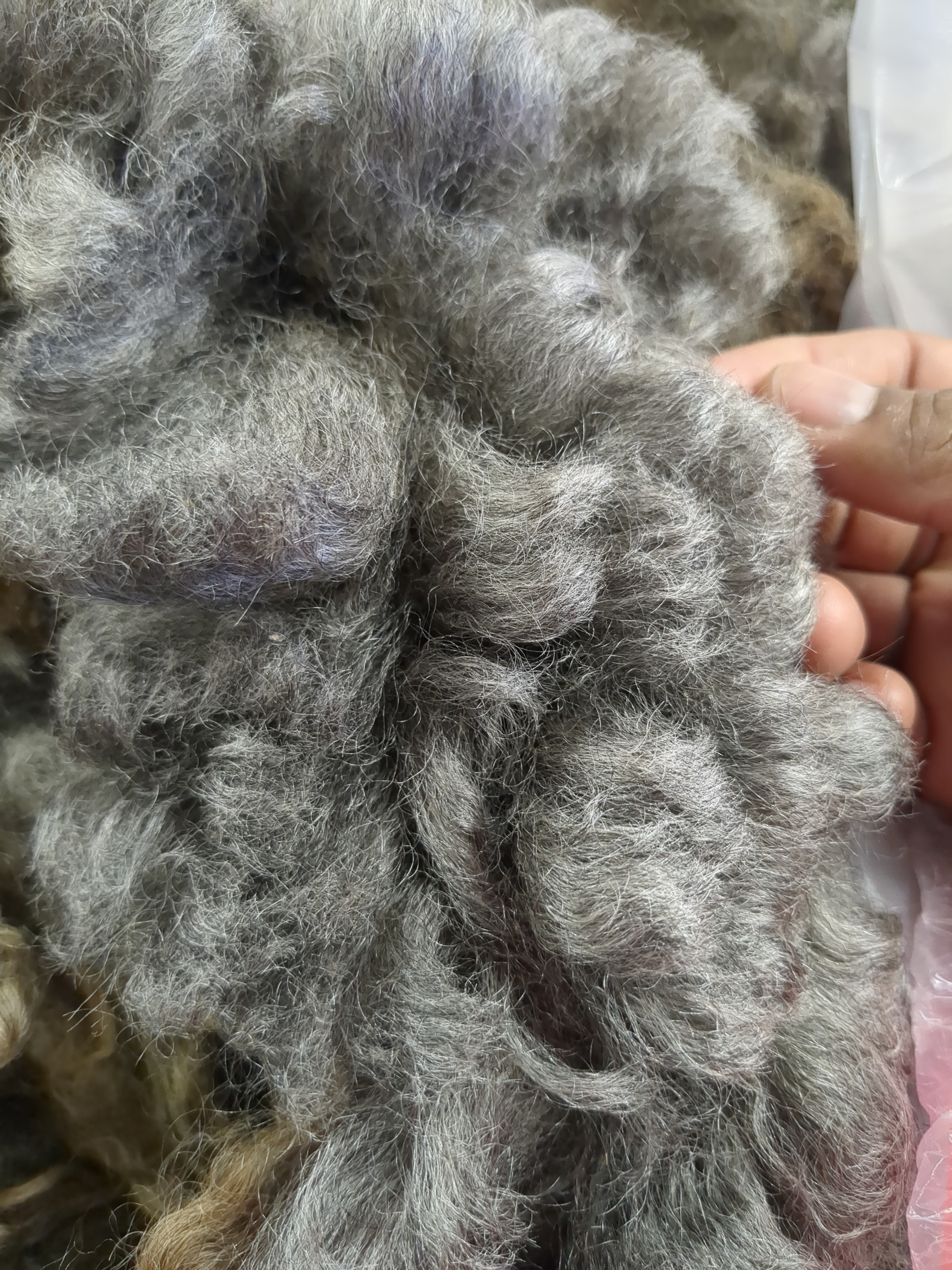 greyish sheep wool